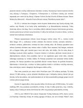 Vertimas: raida, kelias, struktūra 6 puslapis