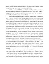 Vertimas: raida, kelias, struktūra 10 puslapis