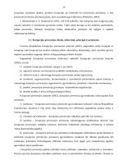 Administracinė korupcija ir jos prevencija 14 puslapis