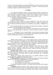 Darbuotojų samda 17 puslapis