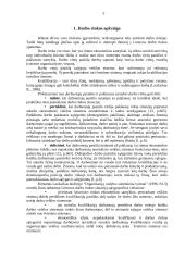 Darbuotojų samda 5 puslapis