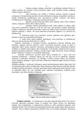 Darbuotojų samda 6 puslapis