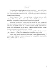 Gotikos menas ir architektūra 2 puslapis