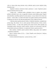 Gotikos menas ir architektūra 8 puslapis