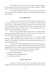 Subjektyvus šeimos vaizdas visų jos narių piešiniuose 11 puslapis