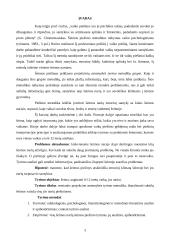 Subjektyvus šeimos vaizdas visų jos narių piešiniuose 3 puslapis