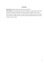 Šaltai rūkytų dešrų  gamybos įranga 2 puslapis