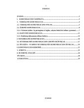 Verbalinės ir neverbalinės komunikacijos reikšmė 2 puslapis