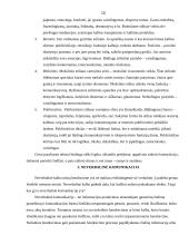 Verbalinės ir neverbalinės komunikacijos reikšmė 16 puslapis