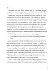 Vyrų ir moterų internetinės kalbos skirtumai 2 puslapis
