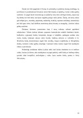 Žaislai. Žaislų sauga 14 puslapis