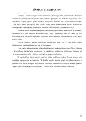 Žaislai. Žaislų sauga 16 puslapis