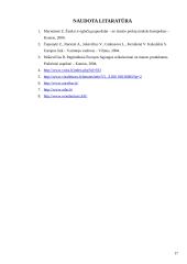 Žaislai. Žaislų sauga 17 puslapis