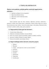 Žaislai. Žaislų sauga 4 puslapis