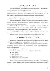 Žaislai. Žaislų sauga 9 puslapis