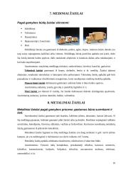 Žaislai. Žaislų sauga 10 puslapis