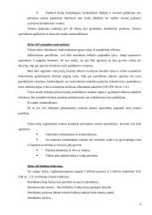 Civilinės proceso teisės praktikos ataskaita: Visagino miesto apylinkės teismas 3 puslapis