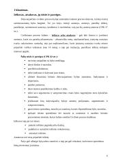 Civilinės proceso teisės praktikos ataskaita: Visagino miesto apylinkės teismas 5 puslapis