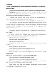 Civilinės proceso teisės praktikos ataskaita: Visagino miesto apylinkės teismas 6 puslapis