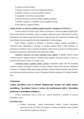 Civilinės proceso teisės praktikos ataskaita: Visagino miesto apylinkės teismas 8 puslapis