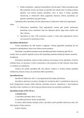 Civilinės proceso teisės praktikos ataskaita: Visagino miesto apylinkės teismas 9 puslapis