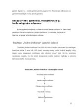 Praktikos ataskaita: stipriųjų alkoholinių gėrimų gamykla AB "Stumbras" 11 puslapis