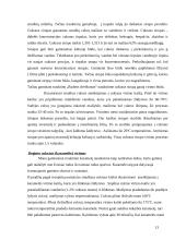 Praktikos ataskaita: stipriųjų alkoholinių gėrimų gamykla AB "Stumbras" 13 puslapis