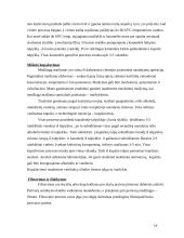 Praktikos ataskaita: stipriųjų alkoholinių gėrimų gamykla AB "Stumbras" 14 puslapis