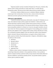 Praktikos ataskaita: stipriųjų alkoholinių gėrimų gamykla AB "Stumbras" 15 puslapis