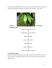 Praktikos ataskaita: stipriųjų alkoholinių gėrimų gamykla AB "Stumbras" 17 puslapis