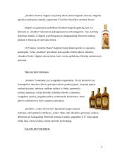 Praktikos ataskaita: stipriųjų alkoholinių gėrimų gamykla AB "Stumbras" 6 puslapis