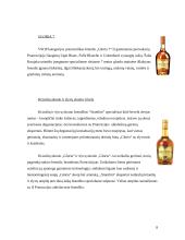 Praktikos ataskaita: stipriųjų alkoholinių gėrimų gamykla AB "Stumbras" 8 puslapis