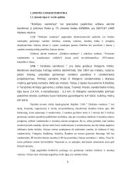 Profesinės praktikos ataskaita: geriamojo vandens tiekimas UAB "Dzūkijos vandenys" 4 puslapis