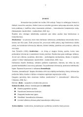 Bendravimo subtilybės 2 puslapis