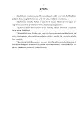 Kūrybingumas ir kūrybiniai sugebėjimai 2 puslapis