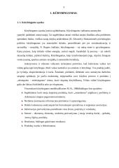 Kūrybingumas ir kūrybiniai sugebėjimai 3 puslapis