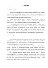 Kūrybingumas ir kūrybiniai sugebėjimai 5 puslapis