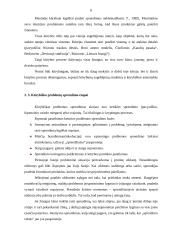 Kūrybingumas ir kūrybiniai sugebėjimai 6 puslapis