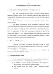 Kūrybingumas ir kūrybiniai sugebėjimai 8 puslapis