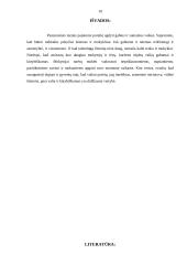 Kūrybingumas ir kūrybiniai sugebėjimai 10 puslapis