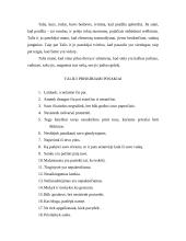 Mileto mokykla Graikijoje 7 puslapis