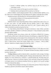 Skirtingi pažinimo procesai 13 puslapis