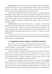Skirtingi pažinimo procesai 14 puslapis