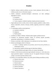 Skirtingi pažinimo procesai 17 puslapis