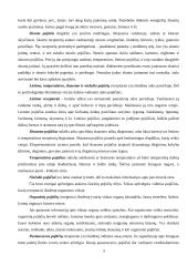Skirtingi pažinimo procesai 6 puslapis