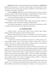 Skirtingi pažinimo procesai 10 puslapis