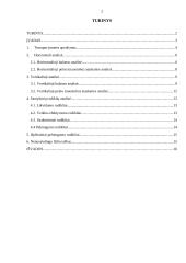 Finansinės veiklos analizė: AB "Limarko laivininkystės kompanija" 2 puslapis