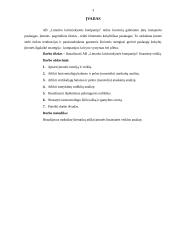 Finansinės veiklos analizė: AB "Limarko laivininkystės kompanija" 3 puslapis