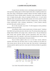 Kaimo socialinė raida ir gyventojų užimtumas 4 puslapis