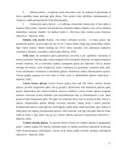 Dekoratyvinių medžių ir krūmų komponavimas gėlyne, gėlyno įrengimas 11 puslapis